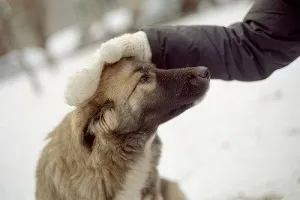 9 съвета за да станат по-добри - блог за самостоятелно развитие