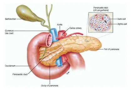 pancreas aberantă