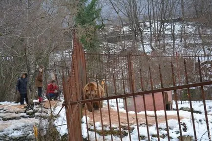 Какво да се види в Адигея зимни клубно турне туристи Лукас