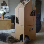 Къща за котката от кутията