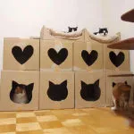 Къща за котката от кутията