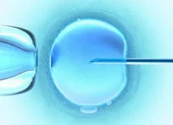 protocol de eco lung