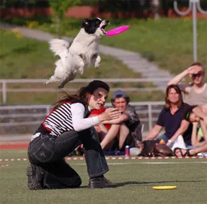 Dog Frisbee (Frisbee Dog)