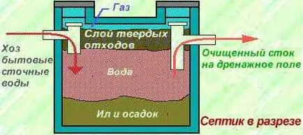 Ecobiotechnology Microzyme (tm) semlegesítés és a szennyvízelvezetés, szennyvíziszap, hogyan kell tisztítani a szeptikus tartály, mint egy