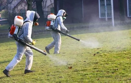 Entomozan a - használati utasítás csirkék, tehenek és más állatok