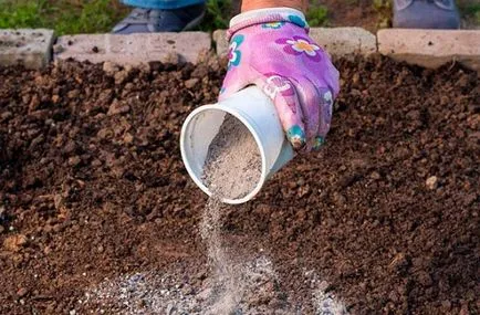 Cenușă de lemn - un control al îngrășămintelor naturale și a dăunătorilor, de afaceri horticole ()