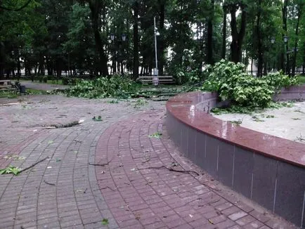 Photo a Győzelem tér és a nyilvános kert Blon Szmolenszk a fákat