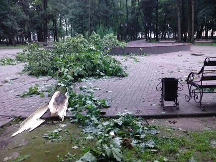 Photo a Győzelem tér és a nyilvános kert Blon Szmolenszk a fákat