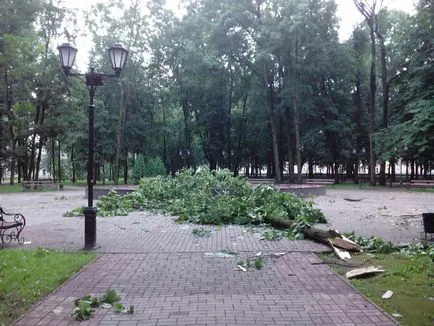 Photo a Győzelem tér és a nyilvános kert Blon Szmolenszk a fákat