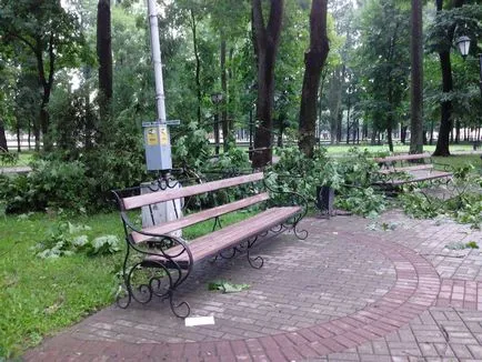 Photo a Győzelem tér és a nyilvános kert Blon Szmolenszk a fákat