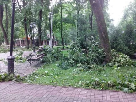 Photo a Győzelem tér és a nyilvános kert Blon Szmolenszk a fákat