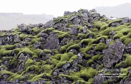 Blue Lagoon spa Izland (árak, fotók, hogyan lehet eljutni oda) cikk