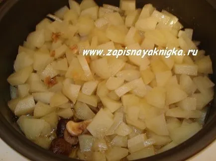 Multivarka tocană de curcan cu ciuperci si cartofi reteta