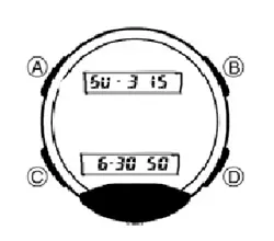 Instrucțiuni de electron ore Laros