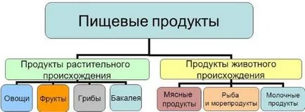 Какви продукти са протеини