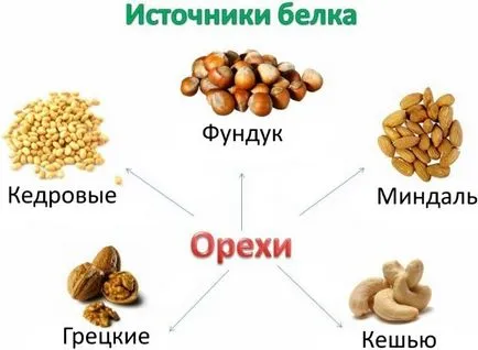 Какви продукти са протеини