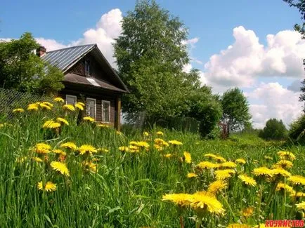 Как да живеем в село граждани