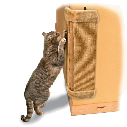 Как да си дресираш котка на надраскване пост __, ^ 