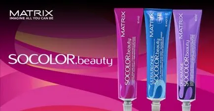 Paint матрица socolor на Америка - за отзивите козметика