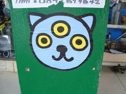 Koshkofil, три очи котка мистерия