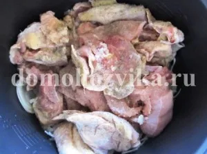 Пиле с лук в multivarka-рецепта с фото