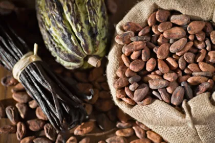 kakaóvaj - csokoládé alapú egészség és szépség