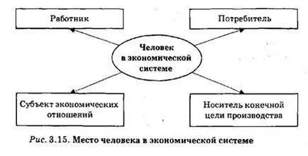 Мястото и ролята на човека в икономическата система - икономическата теория на политическата икономия - navchalnі