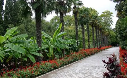 Nikita Növénykert