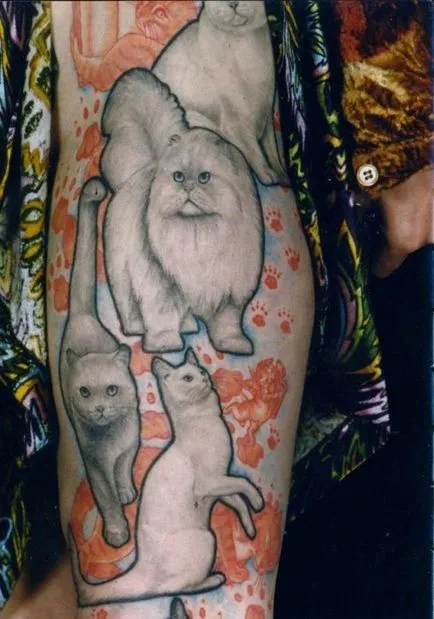 tatuaj nereușită sub formă de pisici (38 poze) - triniksi