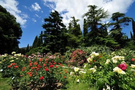 Gradina Botanica Nikita, vacanță în Crimeea