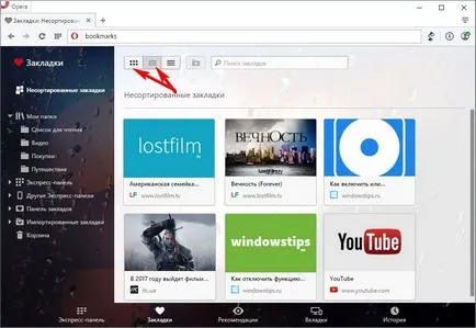 browser-ul Opera Prezentare generală