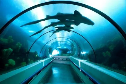 Oceanarium Нептун, София