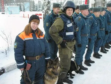 Kennel háttér Argus House