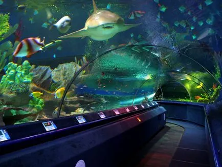 Oceanarium в София 