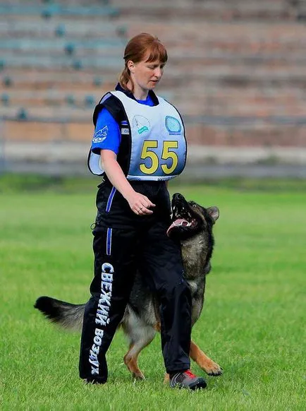 Kennel háttér Argus House