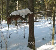 Vânătoare pentru o capcane Marten