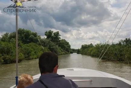 Odihnește-te în Golubitskaya