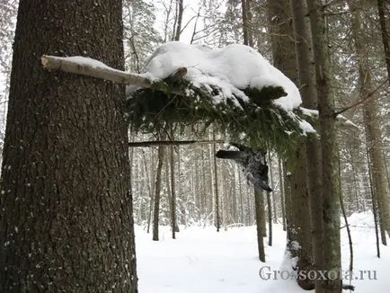 Vânătoare pentru o capcane Marten