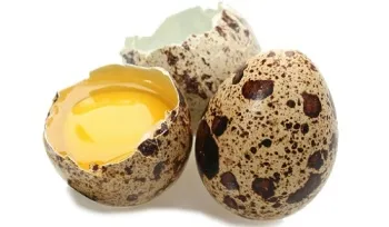 Ouăle de prepeliță beneficia și posibilele daune pentru bărbați