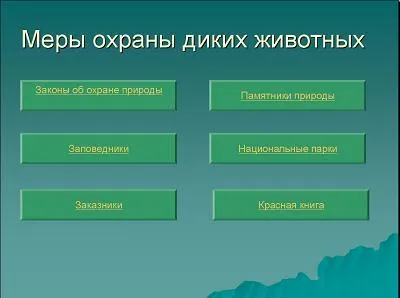 Плакат - Защита на животните - това е възможно да се направи