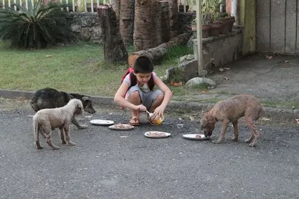 Poster - Protecția animalelor - este posibil să se tragă