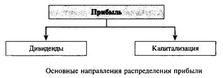 Conceptul, conținutul și tipurile de politica de dividend