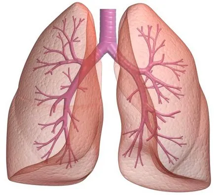 Причините за кашлица и хрема, при възрастни 37s