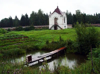 Crapi în iaz la dacha