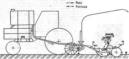 Transplanter mână, bandă, cu propriile lor mâini