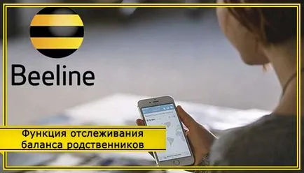 Testului de Echilibrare beeline la telefon prin SMS și un număr scurt gratuit