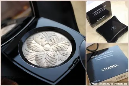 Pulbere-highlighter chanel Camelia de efluenți Poudre illuminatrice subliniind pulbere de Crăciun