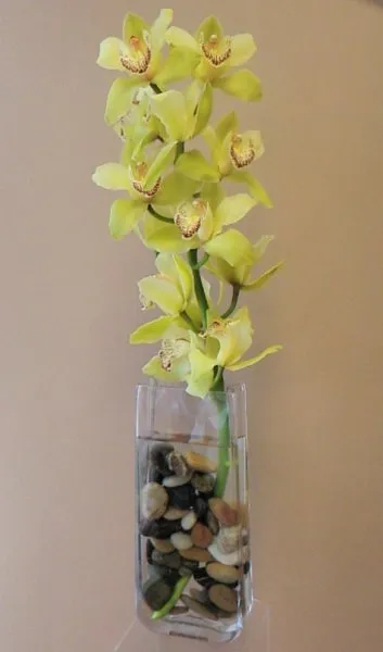 Най-еротичен изящна орхидея - 3 начина да ги показват красотата на 50-те идеи