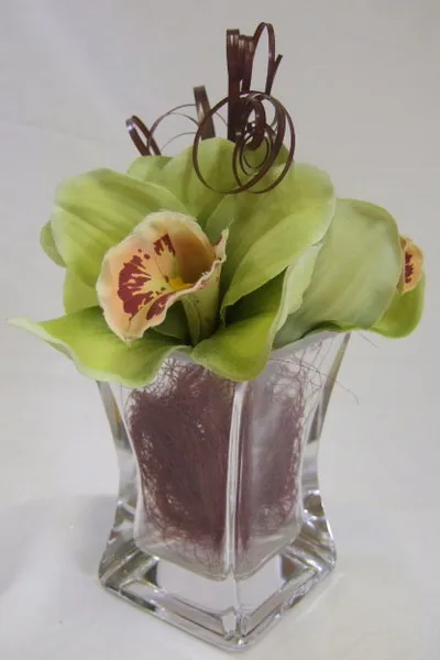 A legtöbb erotikus gyönyörű orchidea virág - 3 módon, hogy megmutassa nekik a szépség, a 50 ötletet