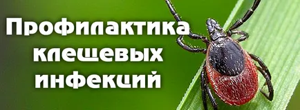 Баркод - един начин да се определи законността на стоката